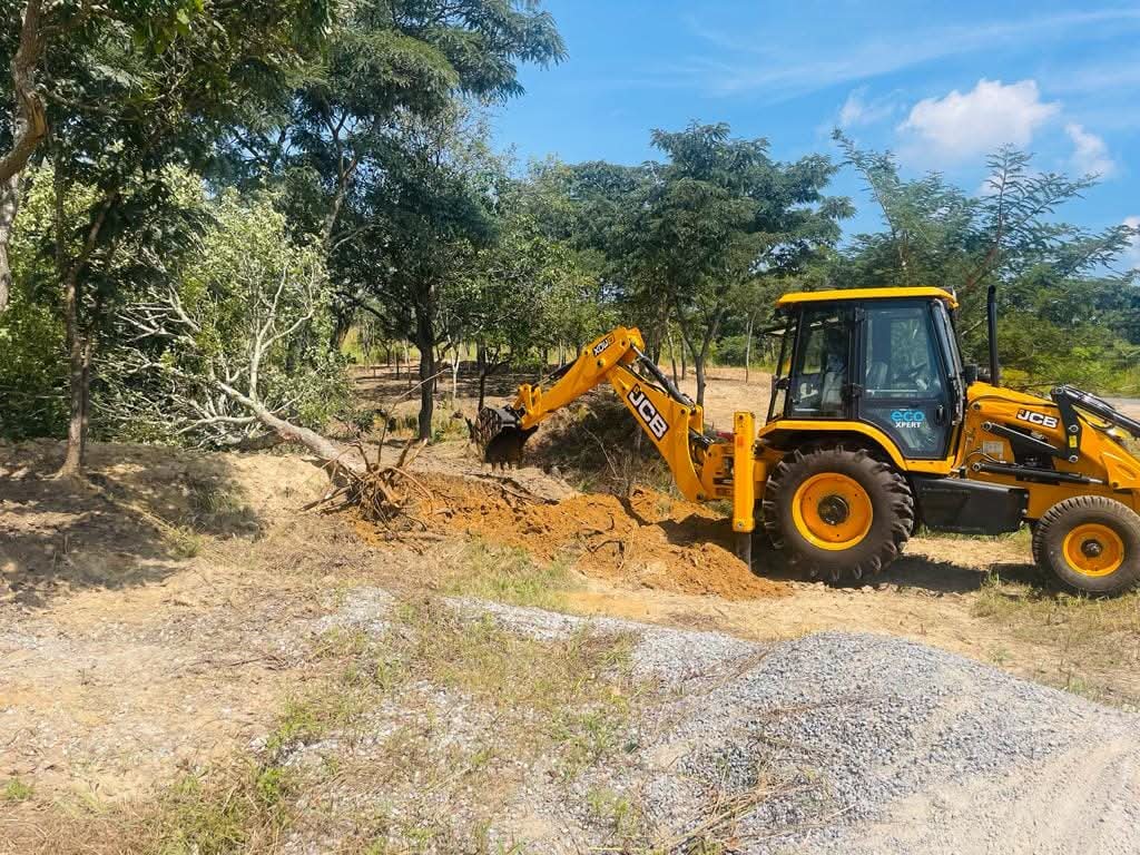BMR backhoe clearing trees and roots